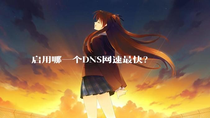 启用哪一个DNS网速最快？