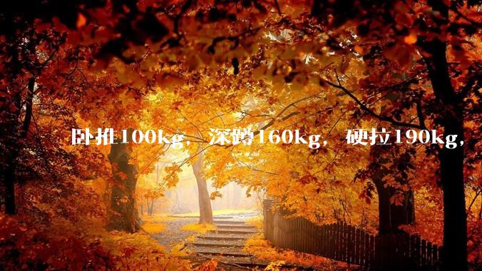 卧推100kg，深蹲160kg，硬拉190kg，哪个更难？