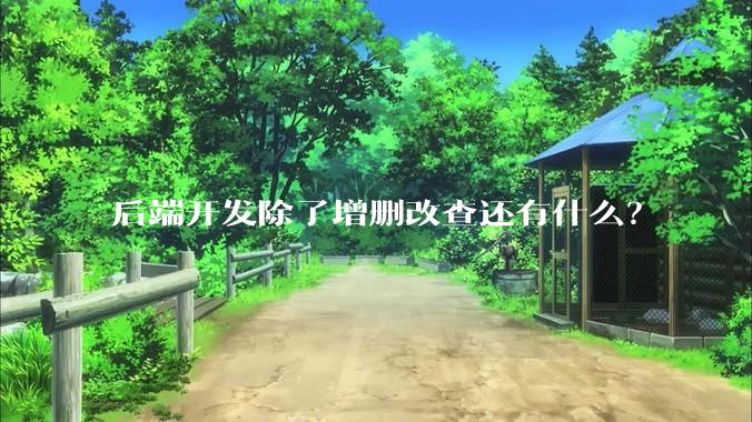 后端开发除了增删改查还有什么？