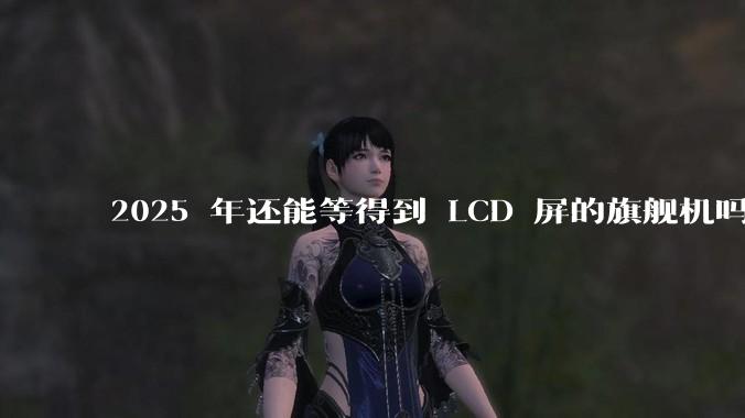 2025 年还能等得到 LCD 屏的旗舰机吗？