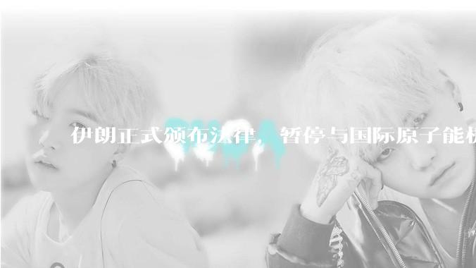 伊朗正式颁布法律，暂停与国际原子能机构合作，这意味着什么？