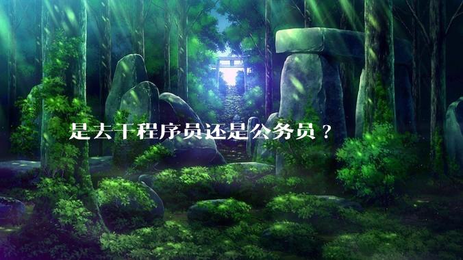 是去干程序员还是公务员?