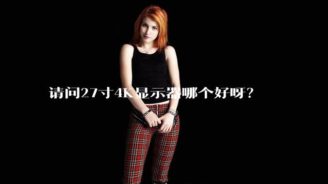 请问27寸4K显示器哪个好呀？