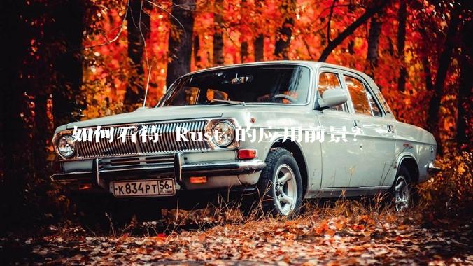 如何看待 Rust 的应用前景？