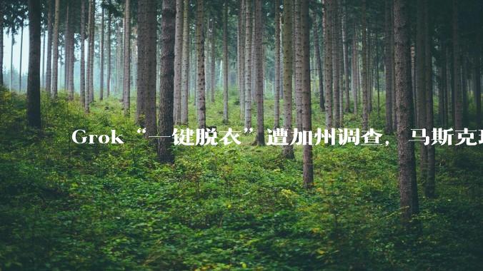 Grok“一键脱衣”遭加州调查，马斯克玩火或自焚_平台_内容_英国