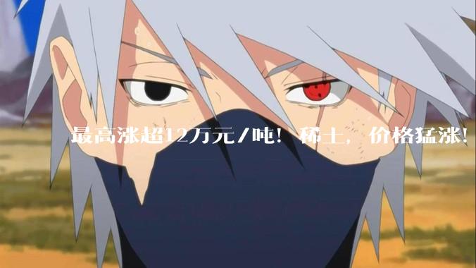 最高涨超12万元/吨！稀土，价格猛涨！机构：缺口或扩大_领域_氧化_全球