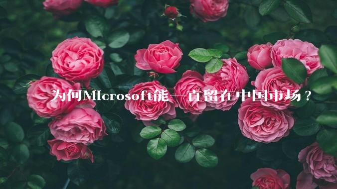 为何Microsoft能一直留在中国市场?