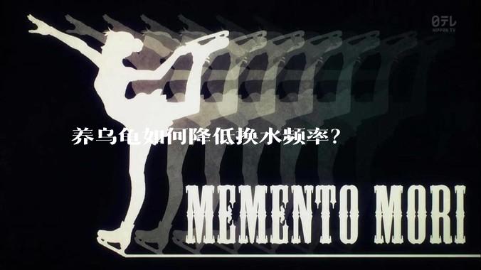 养乌龟如何降低换水频率？