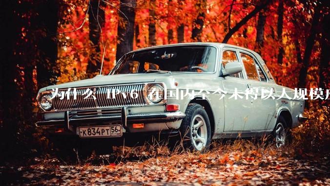 为什么 IPv6 在国内至今未得以大规模应用?