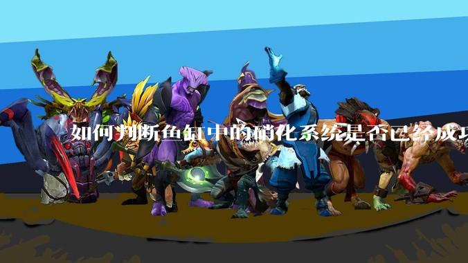 如何判断鱼缸中的硝化系统是否已经成功建立？