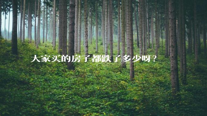 大家买的房子都跌了多少呀？