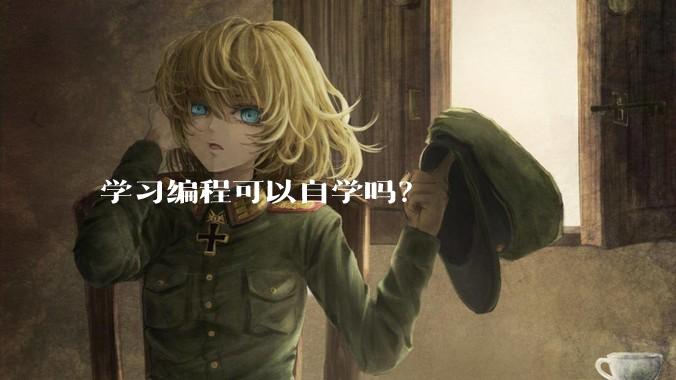 学习编程可以自学吗？