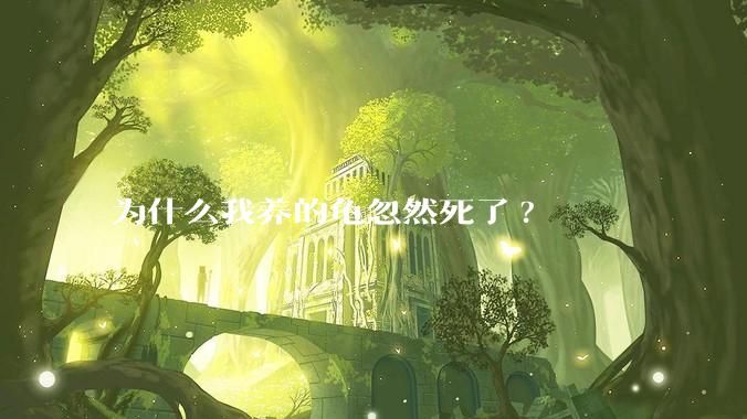 为什么我养的龟忽然死了?