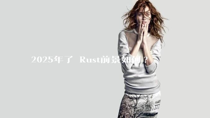 2025年了 Rust前景如何?