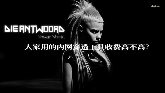 大家用的内网穿透工具收费高不高？