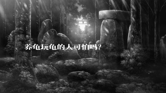 养龟玩龟的人可怕吗？