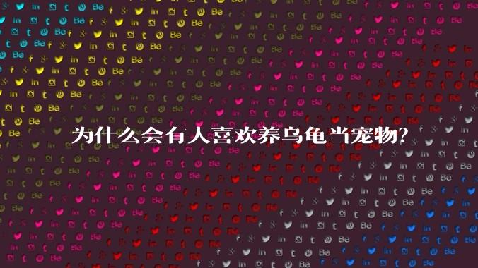 为什么会有人喜欢养乌龟当宠物？