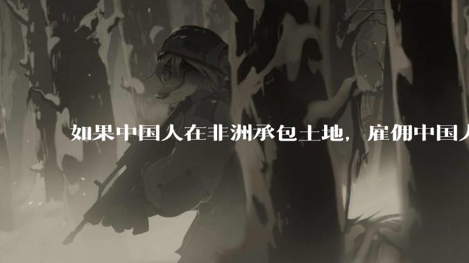 如果中国人在非洲承包土地，雇佣中国人大规模种粮食，可行吗？