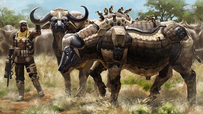 你曾看到空乘做过的最傻的事情是什么?